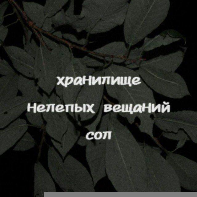 заметки сол