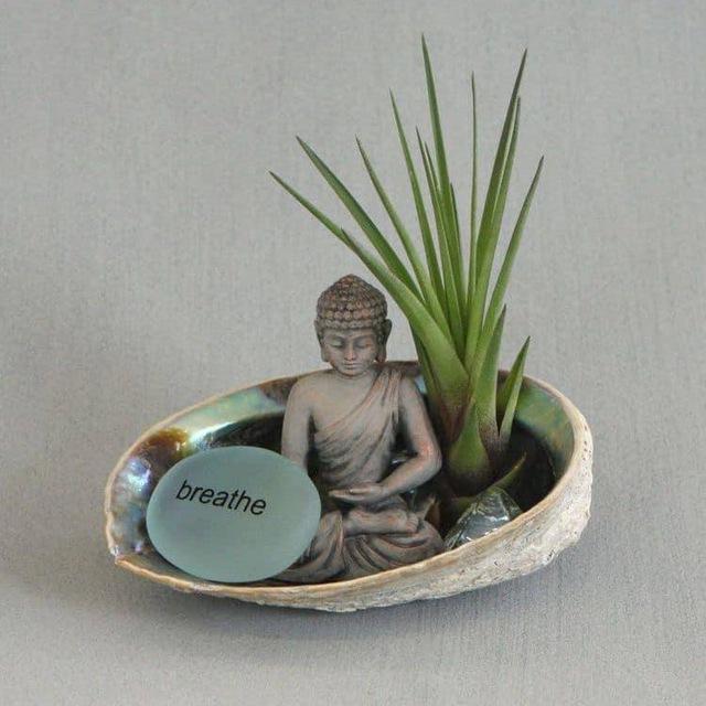Guided Meditation by Chaw