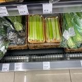 Люминофор жизни