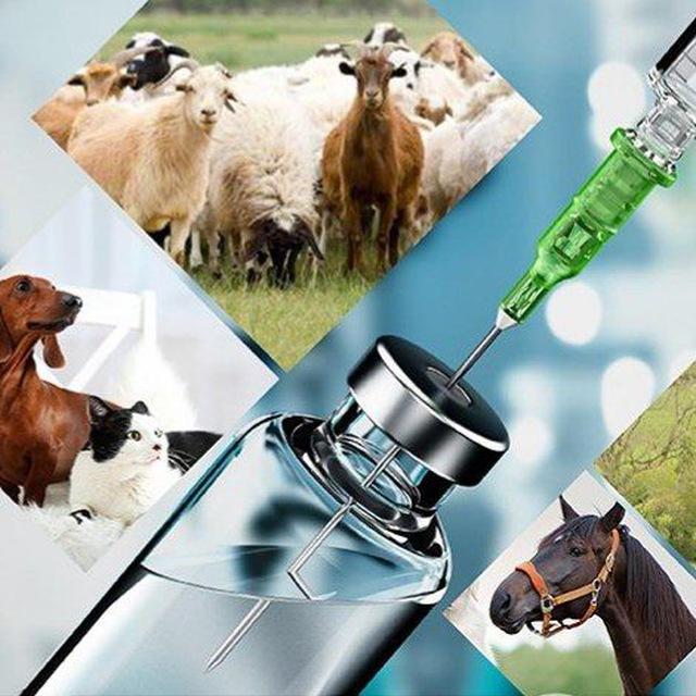 Veterinary Medicinaa