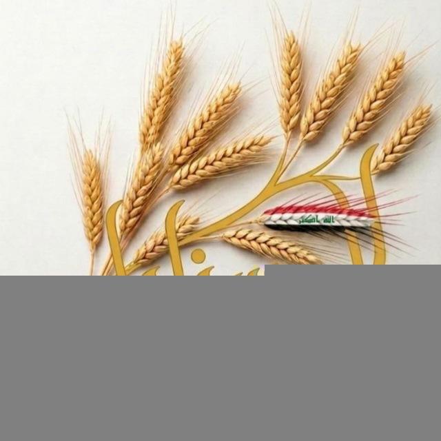 مدرسة السنابل الابتدائية