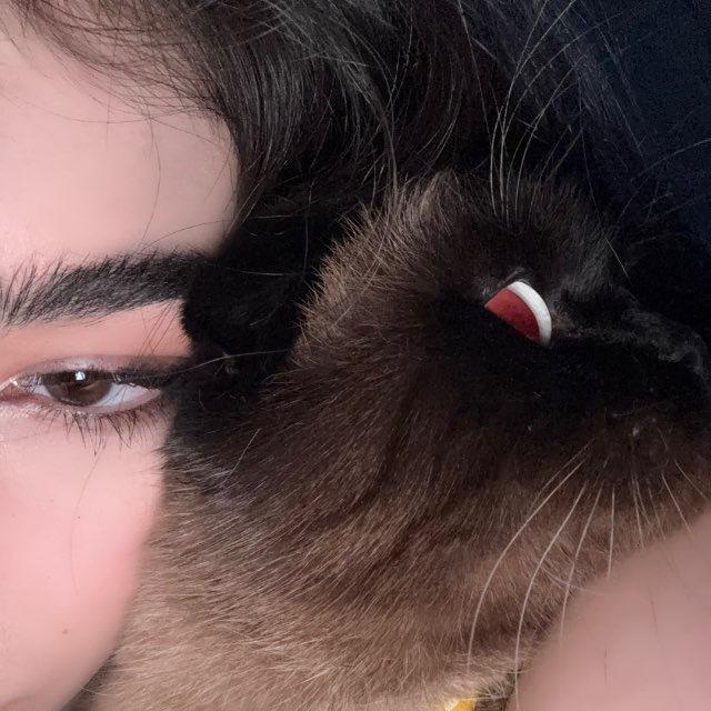 MV’