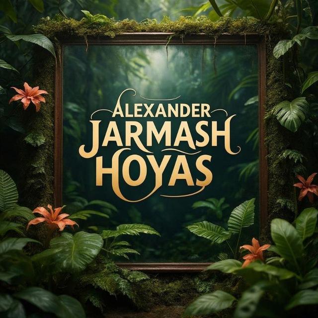 Alexander Jarmash (hoyas) 🌺