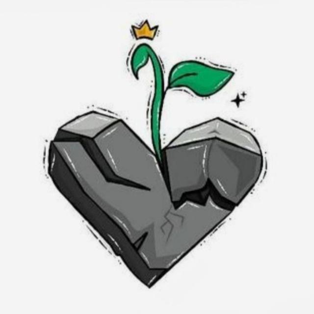 مقصد رویا 🌿