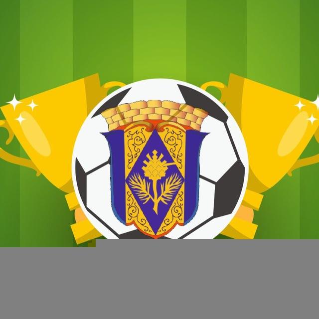 Комаровский футбол ⚽️
