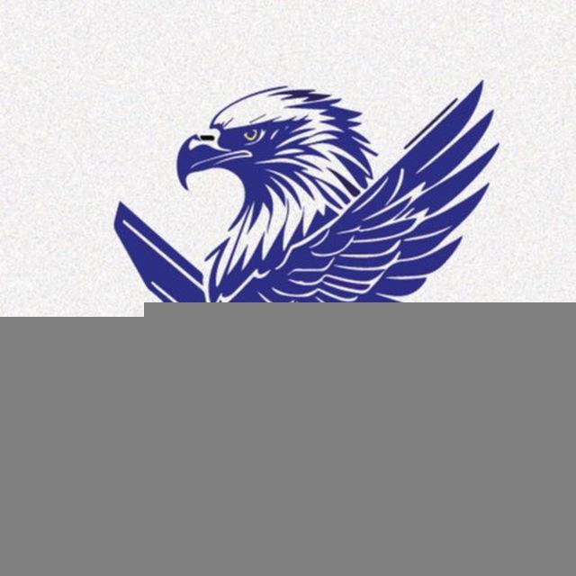 🦅 VICE CLUB
