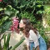 cherry_plants🌿