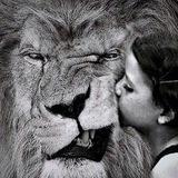 prenses