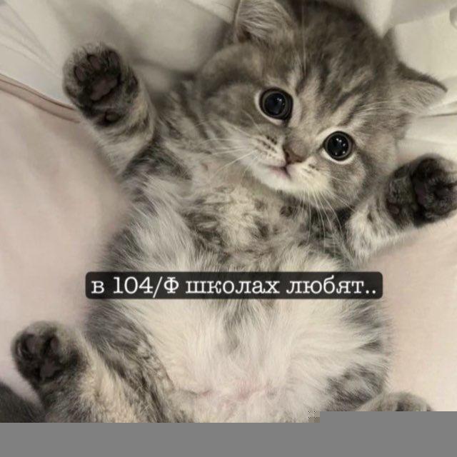 в 104/ф школах любят…