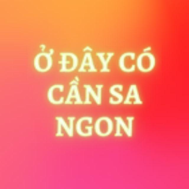 🍈 Chợ Nhà Dưa