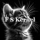 FS Kernel 内核文件