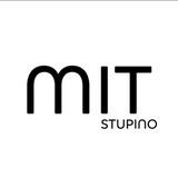 ступино мит