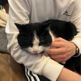 • 𝙇𝙞𝙛𝙚 | SLAV1K