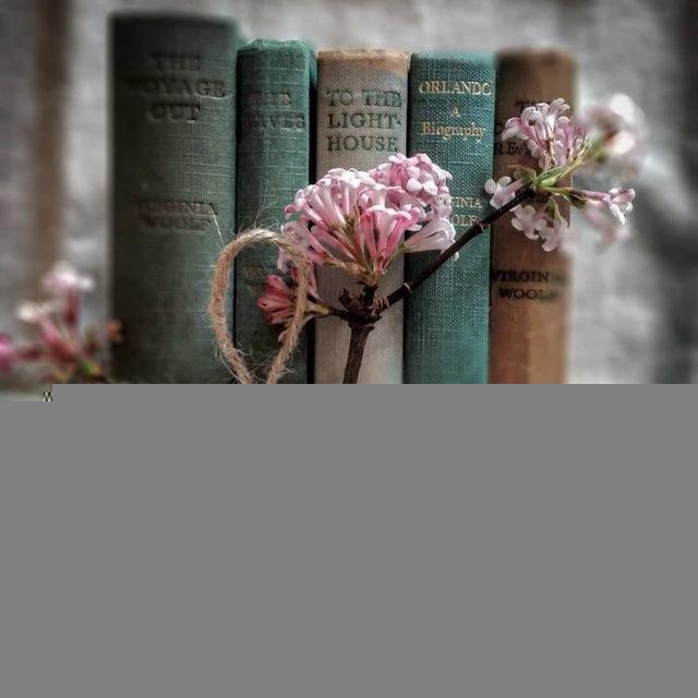 Заказ книг 🕊🕊