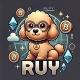Better Call Ruy