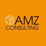 Amz eBay Walmart Store Consultant