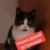 •ㅤ[ПЕРЕЕЗД!] 𝖢𝗈𝗈𝗄𝗂𝖾 𝗋𝗎𝗇 ⥂(𝗇𝗈𝗇) 𝖽𝖺𝗂𝗅𝗒