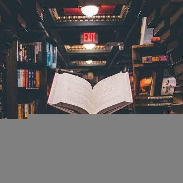Story Books ( Hindi & English )