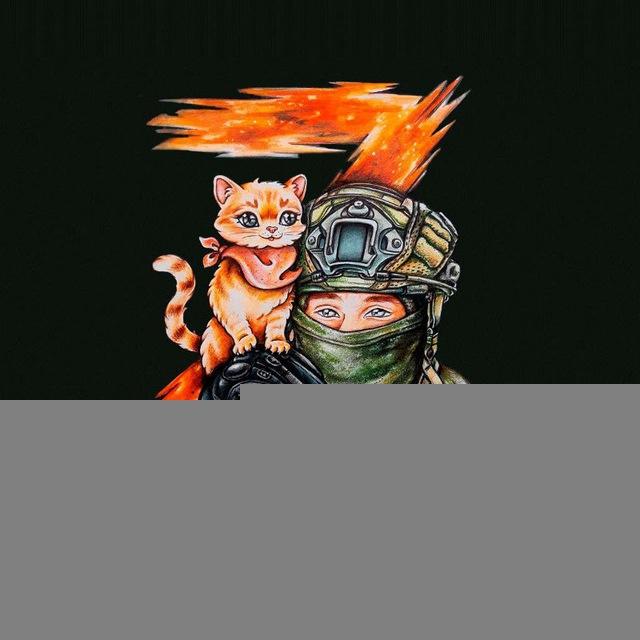 War Life