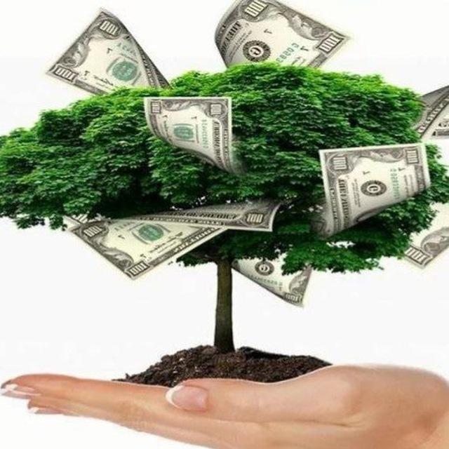 На пассивный доход за 2 года 💵