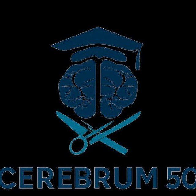 C e r e b r u m