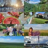 Деревенька моя.