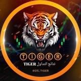 قناة نتائج -TIGER ViP🥇