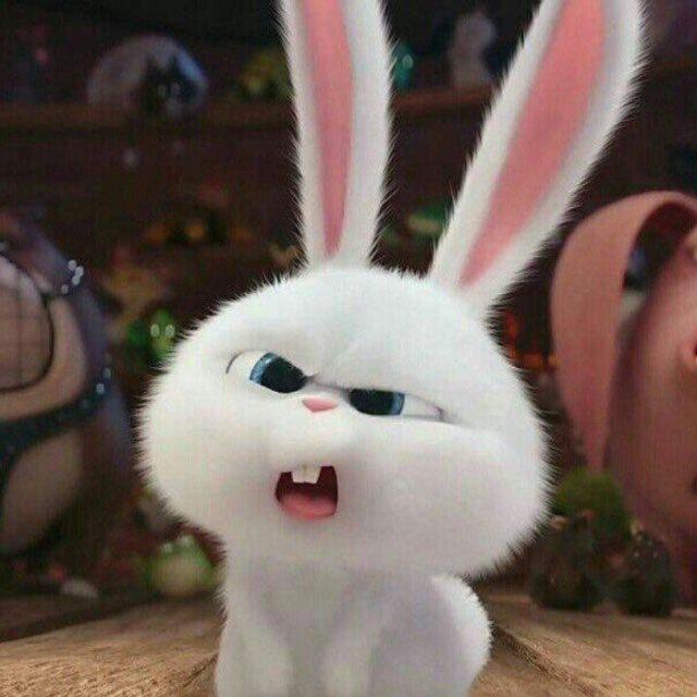Giahancutee