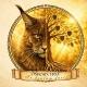 Питомник мейн-кунов “Osborn Tree”/ Maine coon cattery