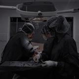 Alina_Future medic 🫀