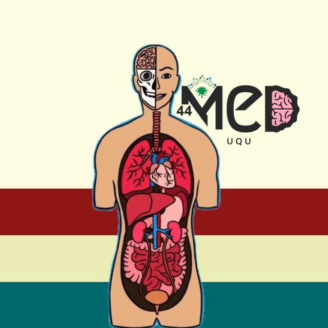 AHE || MED44