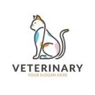 🐾Vet News🐾