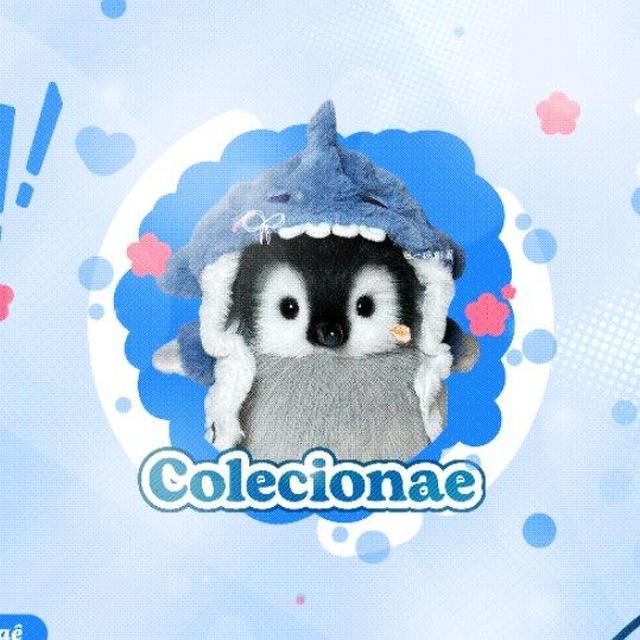 🐧 Canal da Colecionaê