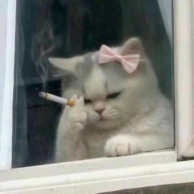 "𝘖𝘶𝘵 𝘰𝘧 𝘵𝘪𝘮𝘦"