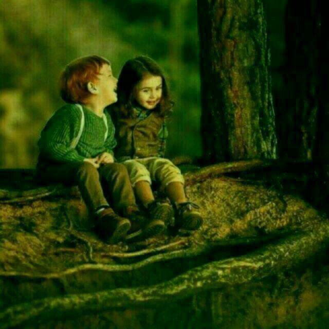شب‌های بی‌کلام