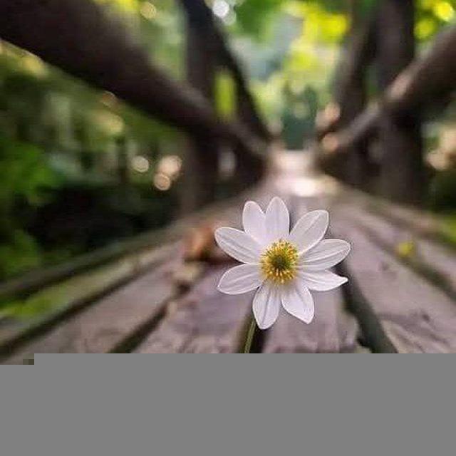 🌸🩷امتحانات الأستاذ علي بوقرين🩷🌸