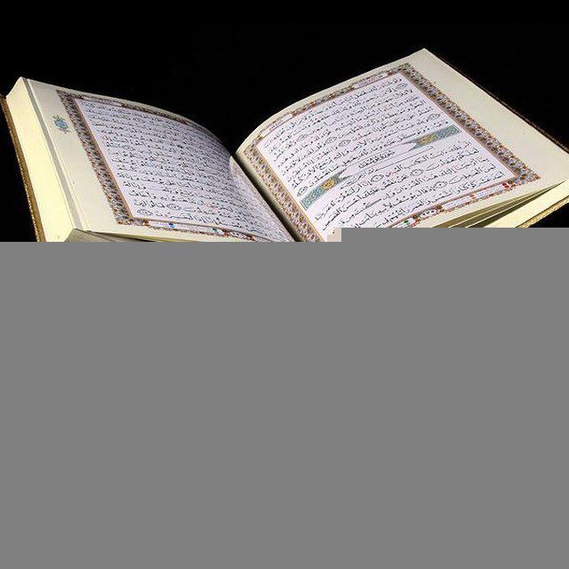 Quran Tarjuma (Hindi/English)