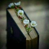 ْمختاراتٌ شعريّة وأَدَبيّة