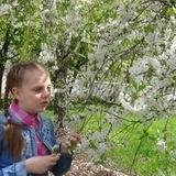 Жизнь и творчество Ириши и не только