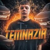 Темназия палит