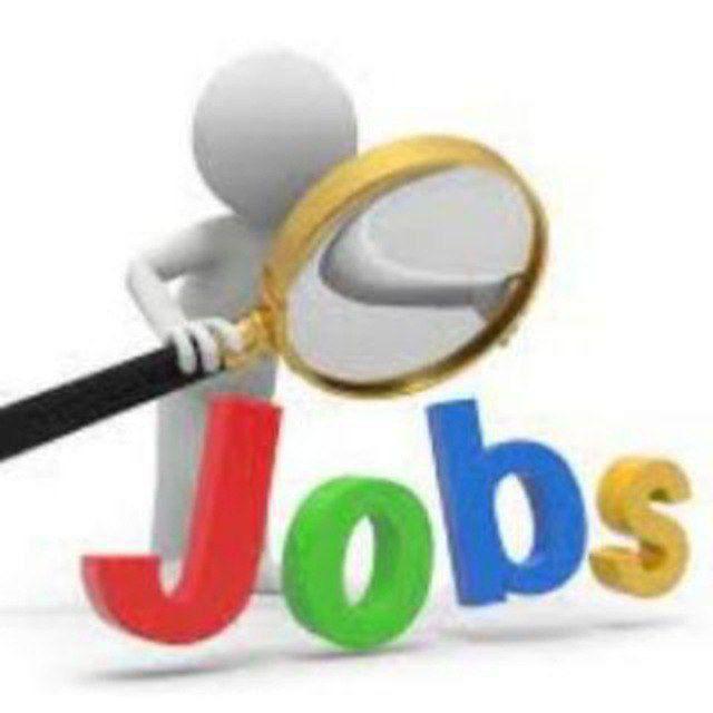 Fresh Graduate job vacancy