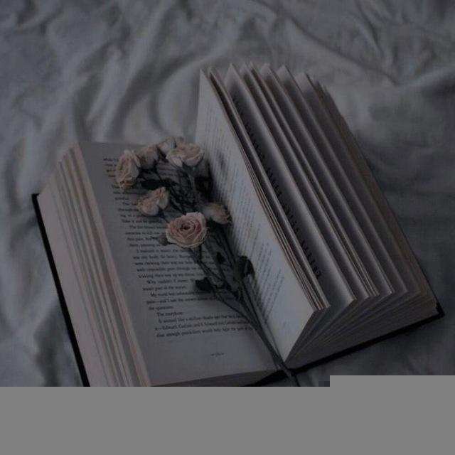 Електронні книги 📚✨