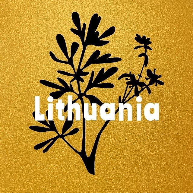 Lithuania Литва Литва + Вільнюс Вильнюс