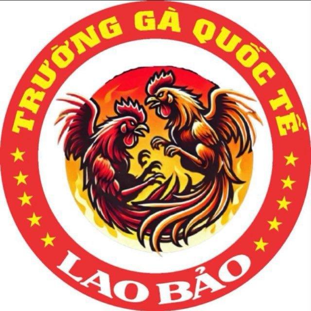TRƯỜNG GÀ TGLAOBAO