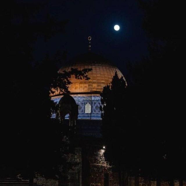 همة شباب ❤️‍🩹.