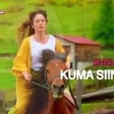 SHISHEEYE KUMA SIINAAYO