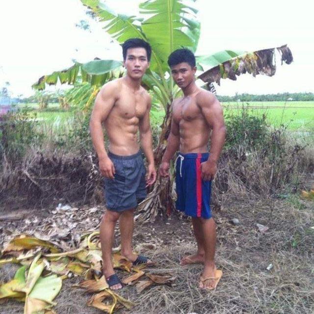 အထန်ဘဲကြီးများ