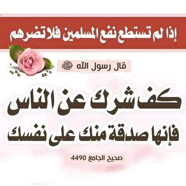 ✍ فوائد ✍ من شرحات العلماء