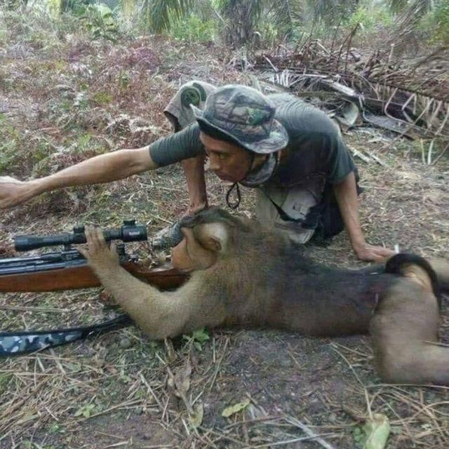 ктота там чёта там