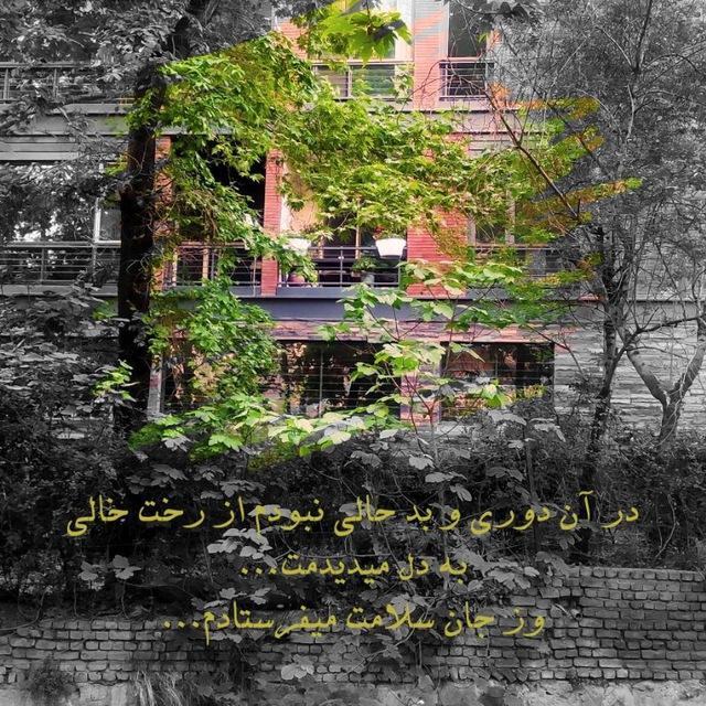Radio Aramesh | رادیو آرامش